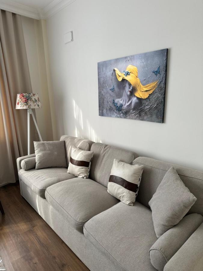 Center Of City In Besiktas 2 Plus 1 With 2 Bathroom And 3 Air Conditioner Istanboel Buitenkant foto